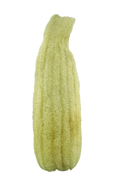 Large Egyptian Loofah